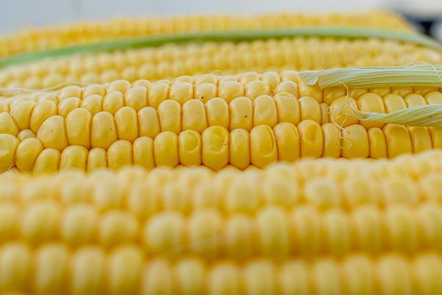 Jak ugotować kukurydzę 1