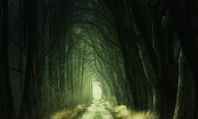 Jak podnieść opuszczone drzwi w samochodzie?