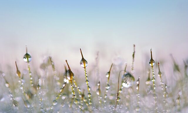 Co to jest Defrost w klimatyzacji?