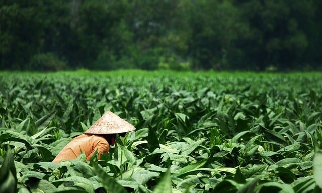 Co daje dodatkowy separator oleju? Co daje dodatkowy separator oleju?