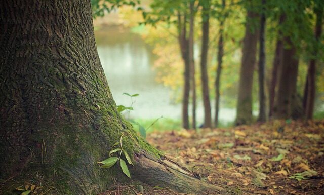 Jak jeździć w terenie?