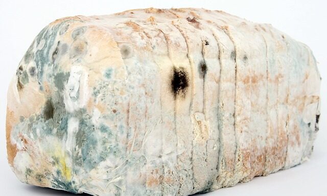 Jak skutecznie dezynfekować ręce? Jak skutecznie dezynfekować ręce?