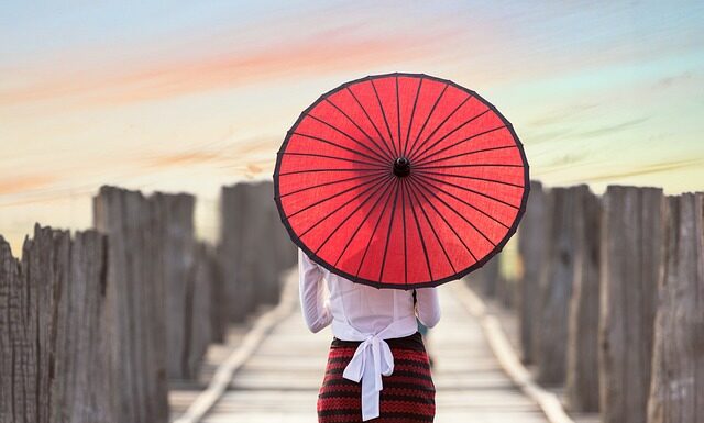 Co sadzić w pełnym słońcu?