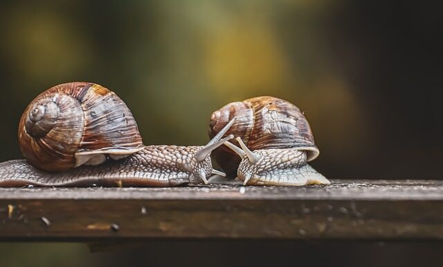 Jak inaczej nazywa się czujnik?