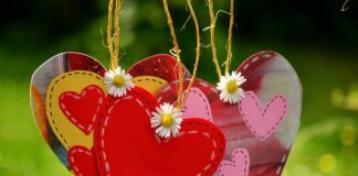 Do czego przewód 5x2 5?