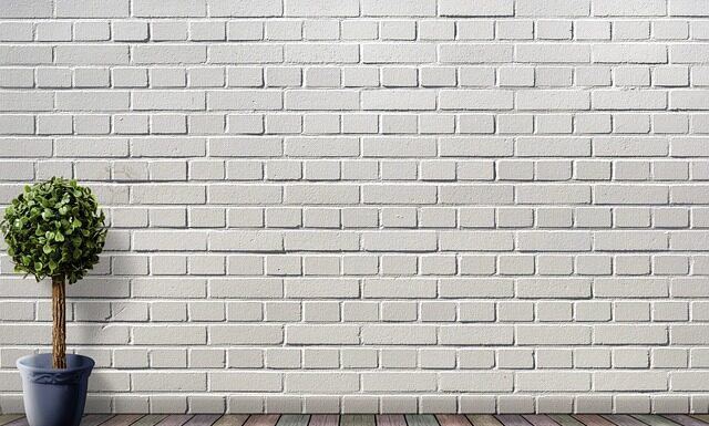 Gdzie wrzucamy doniczki ceramiczne? Gdzie wrzucamy doniczki ceramiczne?