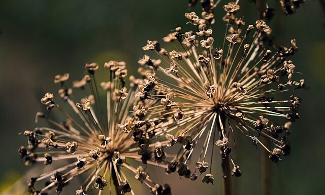 Jak wykorzystać resztki lameli?