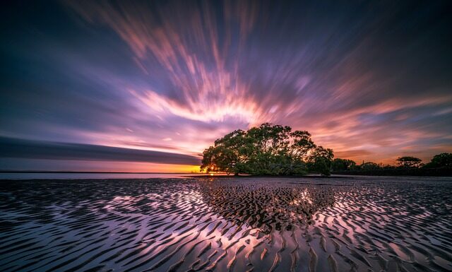 Jak zrobić odpływ w donicy? Jak zrobić odpływ w donicy?