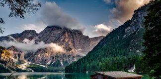 Ile kosztuje domek na działkę rod?