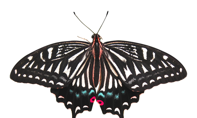 Co daje usunięcie odmy?