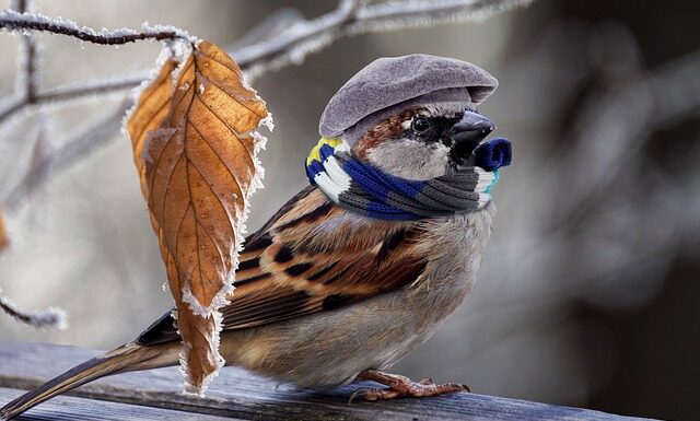 Jak ogrzać wnętrze samochodu?