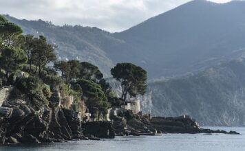 Ile kosztuje żyrafa do szlifowania?