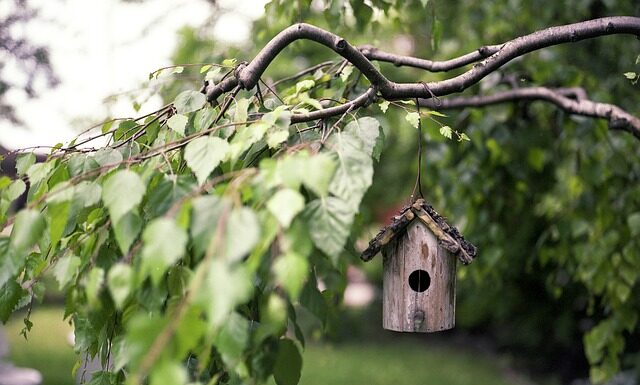 Do czego służy podajnik w MC?