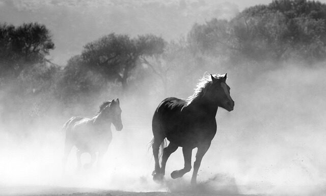 Czy opłaca się palić drewnem?