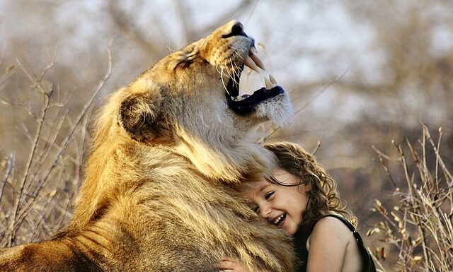 Która wódka jest lepsza stock czy bocian?