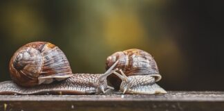 Czy czujnik dymu wykrywa czad?