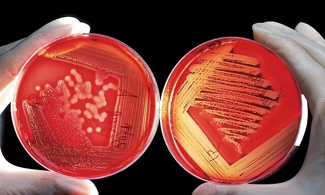 Ile kleju na m2 deski?