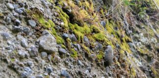 Czy można wiercić w konglomeracie?