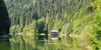 Ile kosztuje zrobienie domku narzędziowego?