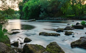Co może pobierać prąd w samochodzie na postoju?