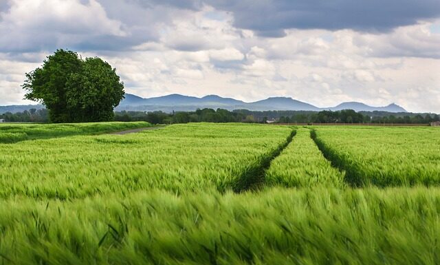 Jaki jest rozstaw zawiasów w drzwiach?