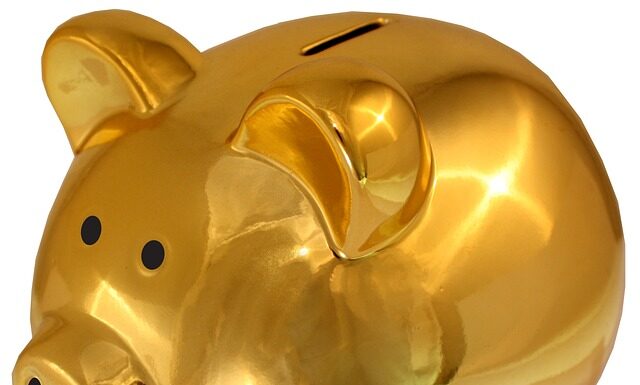 Jakie opłaty za auto z Czech?