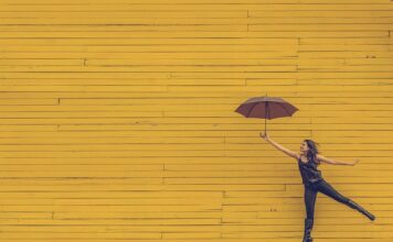 Czy obcinać żółte liście monstery?