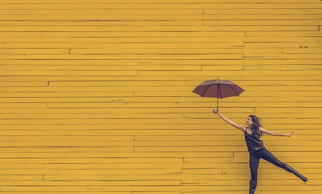 Czy obcinać żółte liście monstery? Czy obcinać żółte liście monstery?