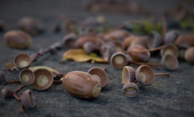 Jak wyregulować opadanie deski?