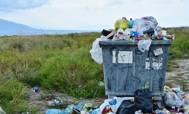 Gdzie wyrzucić zepsuty przedłużacz?