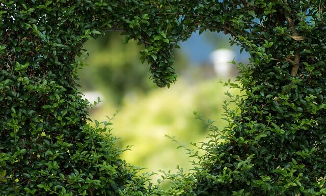 Od czego zacząć zakładanie ogrodu?