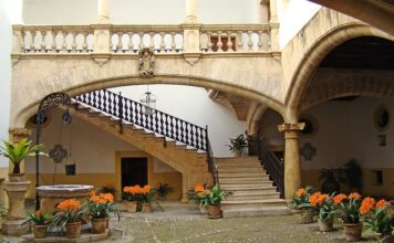 Jak wybrać donice do ogrodu?