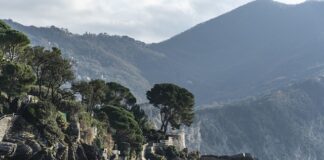 Ile kosztuje sprawdzenie szczelności klimatyzacji w samochodzie?