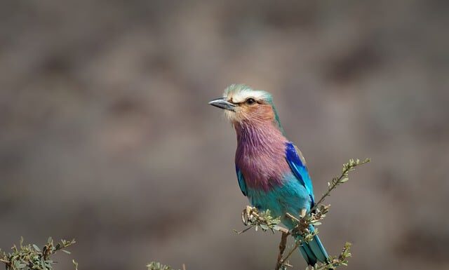 Jak przygotować się do długiej trasy?
