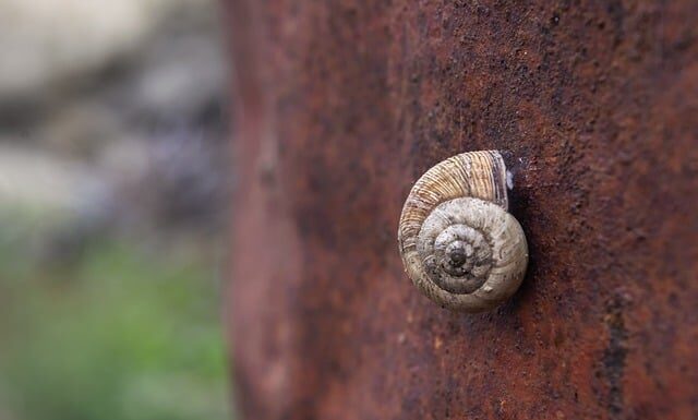 Gdzie gromadzi się tlenek węgla?